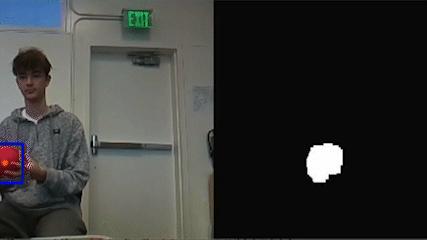 Color Detection gif